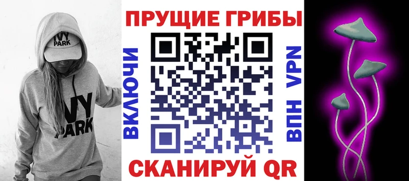 Галлюциногенные грибы Psilocybe  Купить  Изобильный 