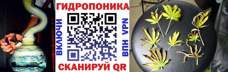 Канабис Bruce Banner  Купить  Изобильный 